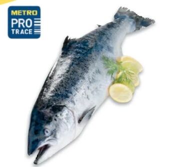 Metro Lachs Angebot