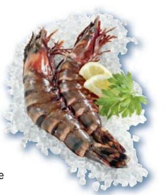 Metro Black tiger garnelen Angebot