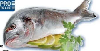 Metro Goldbrasse Angebot