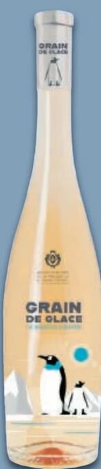 Metro Le rose de l´hiver Angebot