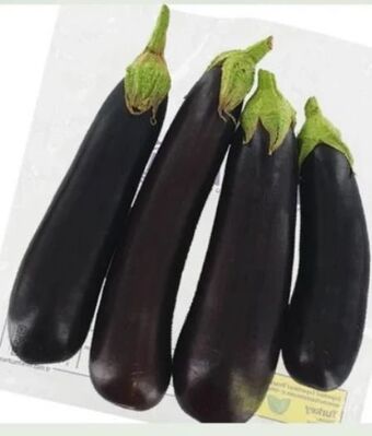 ETSAN Melanzani Angebot