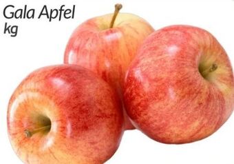ETSAN Äpfel gala Angebot