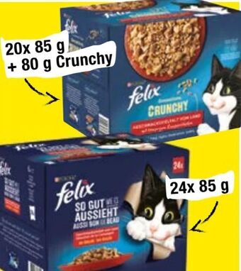 Maximarkt Felix katzennahrung Angebot