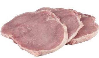 Transgourmet Schwein schnitzel Angebot
