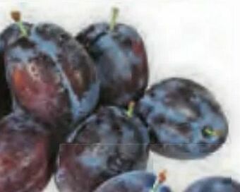 Billa Zwetschken Angebot