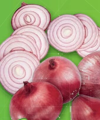 Lidl Bio zwiebeln Angebot