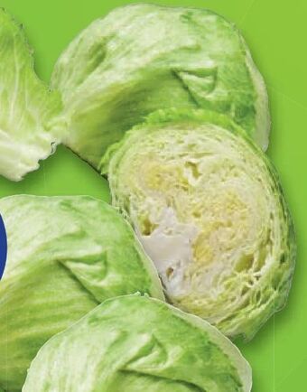 Lidl Eisbergsalat Angebot