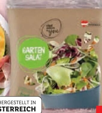 Lidl Garten salat Angebot