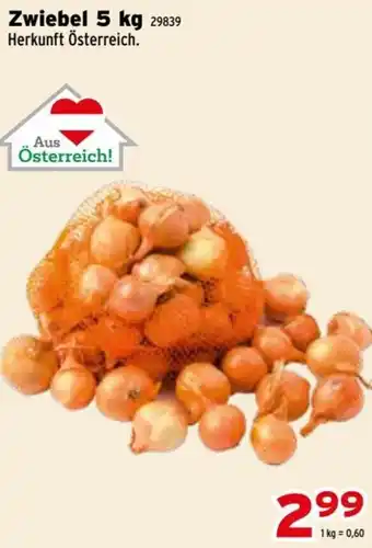 Salzburger Lagerhaus Zwiebel 5 kg Angebot
