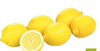 Transgourmet Bio zitronen Angebot