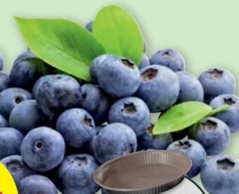 PENNY Heidelbeeren Angebot