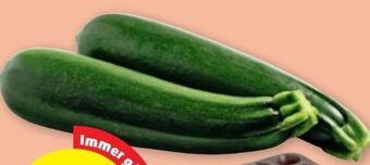 PENNY Zucchini Angebot