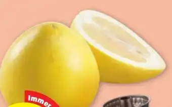 PENNY Pomelo Angebot