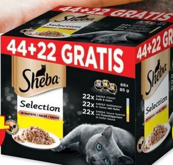 PENNY Selection Angebot