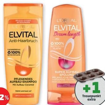 PENNY Elvital shampoo Angebot