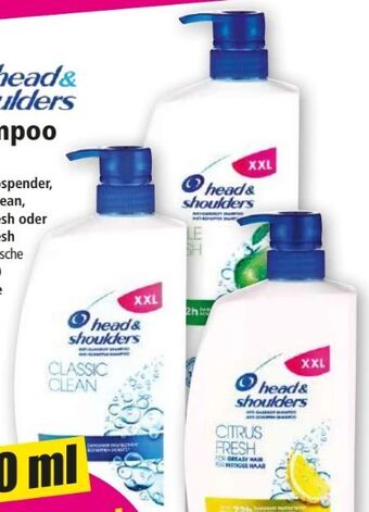 Norma Shampoo Angebot