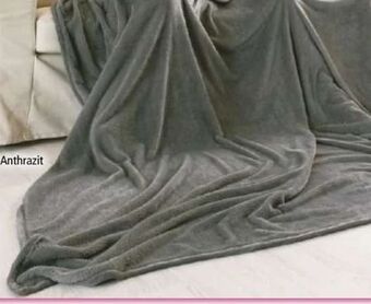 Norma Kuscheldecke Angebot