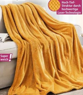 Norma Kuscheldecke cashmere dots Angebot