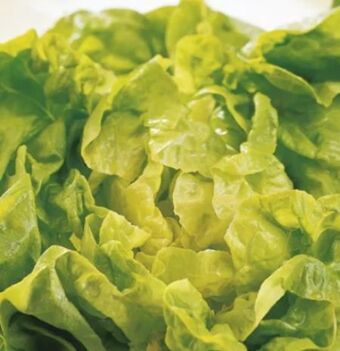 Spar Kopfsalat Angebot