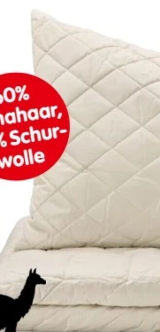 Interspar Polster lama Angebot