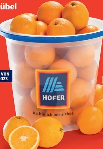 Orangen