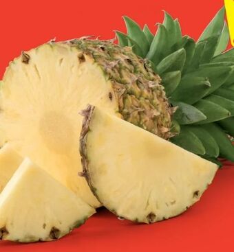 Hofer Ananas Angebot
