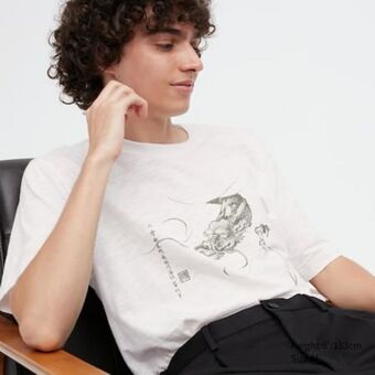 UNIQLO Boston museum japanese art ut graphic t-shirt Angebot