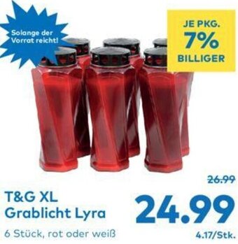 T&G T&G XL Grablicht Lyra Angebot