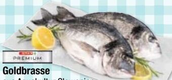 Maximarkt Goldbrasse Angebot