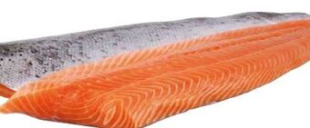 Transgourmet Lachsfilet Angebot