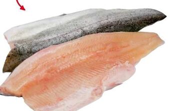 Transgourmet Forellenfilet Angebot