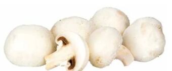 Transgourmet Champignons Angebot