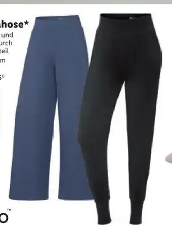 Lidl Damen yogahose Angebot