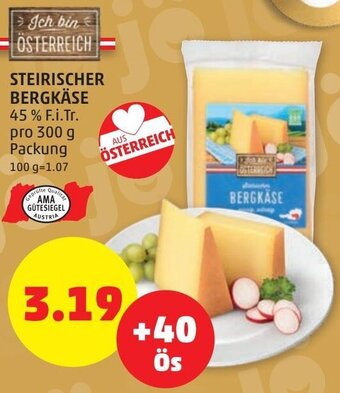 PENNY Steirischer Bergkäse 300 g Angebot