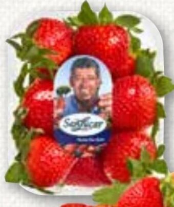 ADEG Erdbeeren Angebot