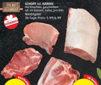 PENNY Karree Angebot