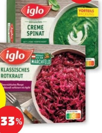 PENNY Rotkraut Angebot