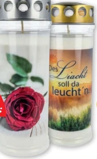 PENNY 7 tage grablicht Angebot