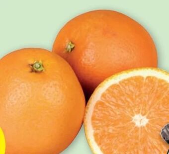 PENNY Orangen Angebot