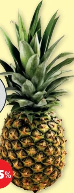 PENNY Ananas Angebot