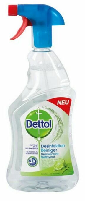 dm Desinfektion Reiniger Angebot
