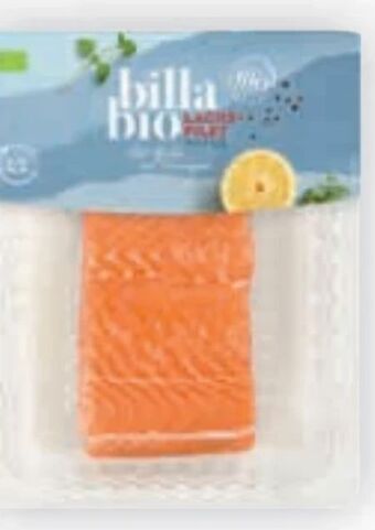 Billa Bio lachsfilet Angebot