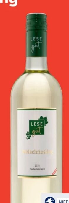 Hofer Welschriesling Angebot