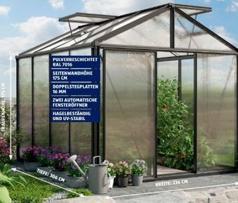 Hofer Gewächshaus royal Angebot