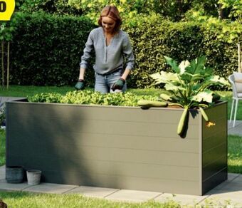 Hofer Hochbeet aluminium Angebot