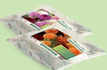 Hofer Blumenzwiebeln Angebot