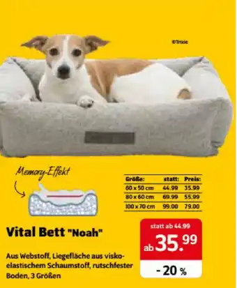 Das Futterhaus Vital Bett "Noah" Angebot