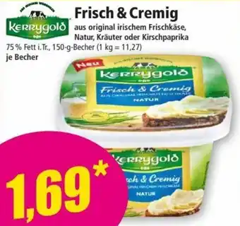 Norma Kerrygold Frisch & Cremig Angebot