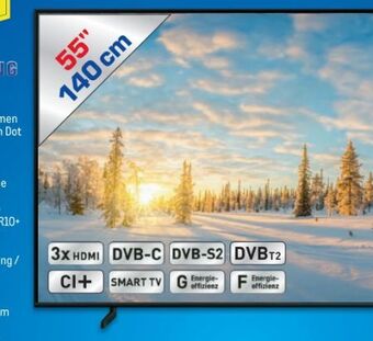 Metro Qled tv 55q60b Angebot