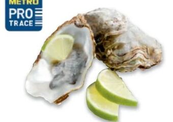 Metro Austern Angebot